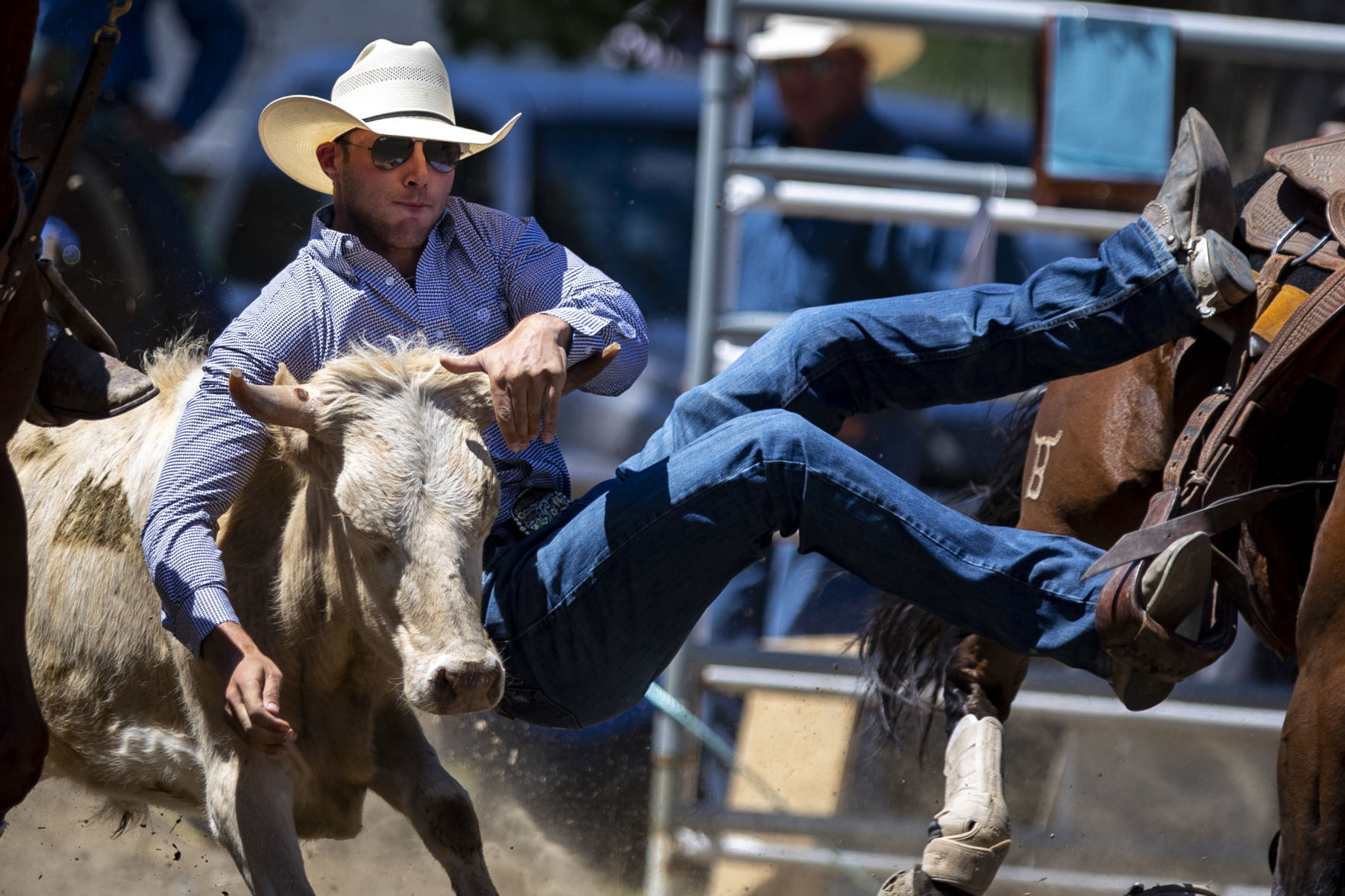 Rodeo Roundup